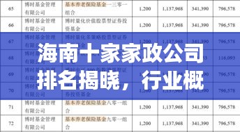 海南十家家政公司排名揭晓，行业概览与竞争力分析
