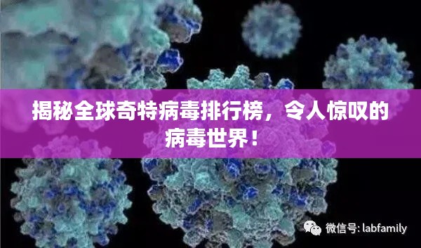 揭秘全球奇特病毒排行榜，令人惊叹的病毒世界！