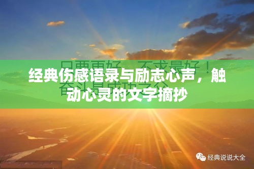 经典伤感语录与励志心声，触动心灵的文字摘抄