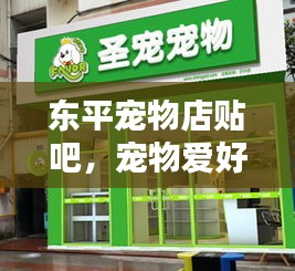 东平宠物店贴吧，宠物爱好者的温馨乐园！