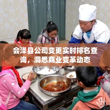 会泽县公司变更实时排名查询，洞悉商业变革动态