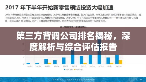 第三方背调公司排名揭秘，深度解析与综合评估报告