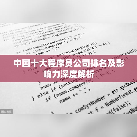 中国十大程序员公司排名及影响力深度解析