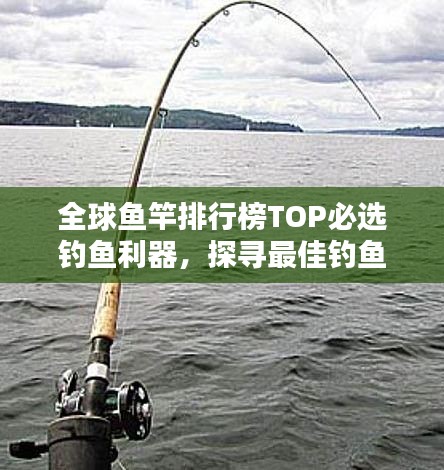 全球鱼竿排行榜TOP必选钓鱼利器，探寻最佳钓鱼搭档！
