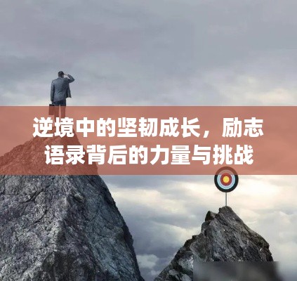 逆境中的坚韧成长，励志语录背后的力量与挑战