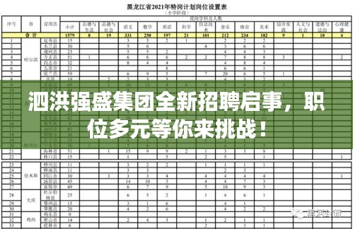 泗洪强盛集团全新招聘启事，职位多元等你来挑战！