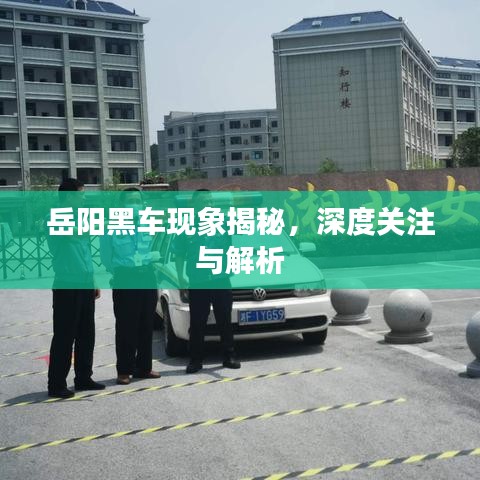 岳阳黑车现象揭秘，深度关注与解析