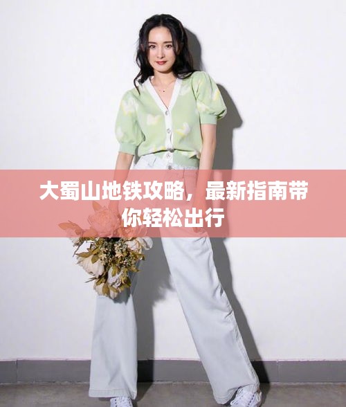 大蜀山地铁攻略，最新指南带你轻松出行