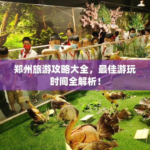 郑州旅游攻略大全，最佳游玩时间全解析！