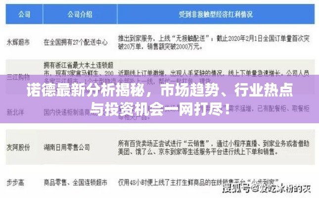诺德最新分析揭秘，市场趋势、行业热点与投资机会一网打尽！