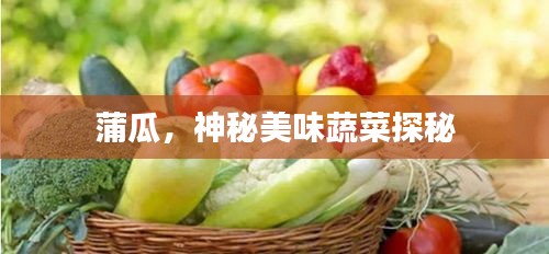 蒲瓜，神秘美味蔬菜探秘
