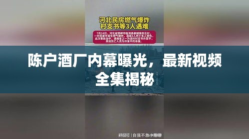 陈户酒厂内幕曝光，最新视频全集揭秘