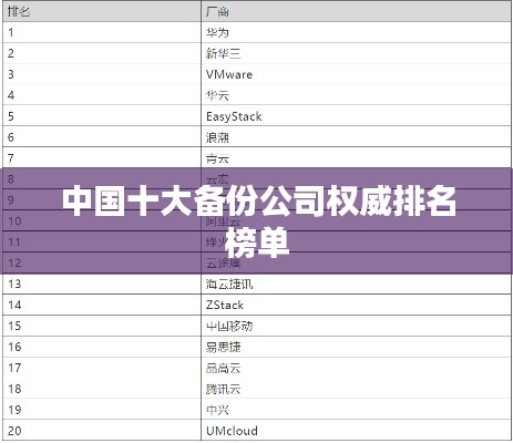 中国十大备份公司权威排名榜单