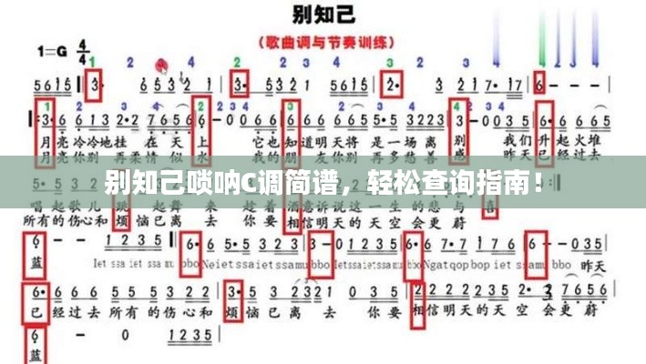 别知己唢呐C调简谱，轻松查询指南！