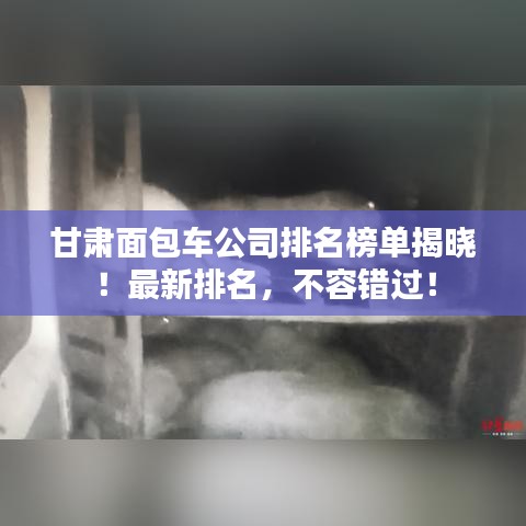 纲举目张