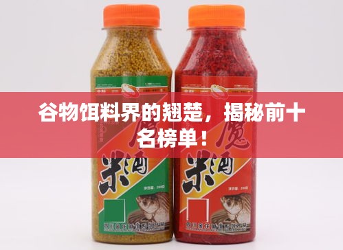 谷物饵料界的翘楚，揭秘前十名榜单！