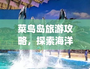 箪瓢陋室