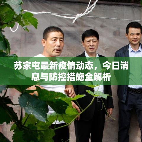 苏家屯最新疫情动态，今日消息与防控措施全解析
