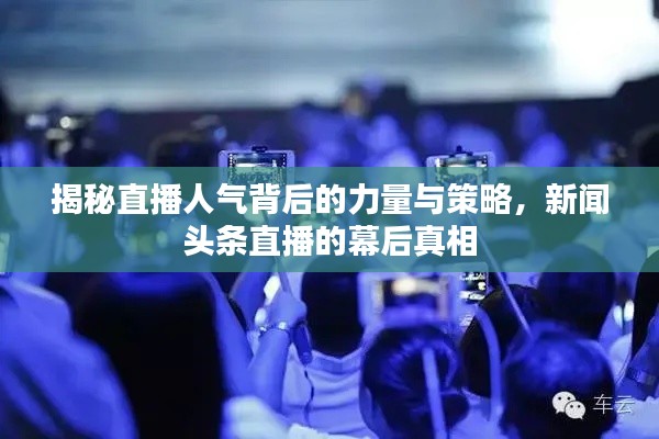 揭秘直播人气背后的力量与策略，新闻头条直播的幕后真相