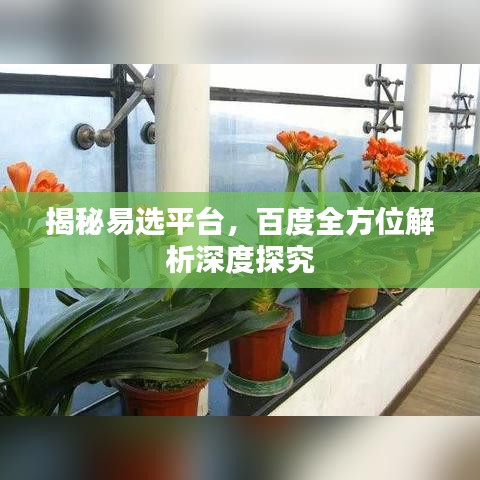揭秘易选平台，百度全方位解析深度探究