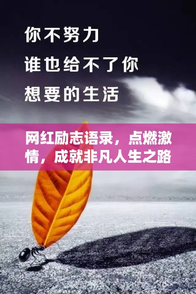 网红励志语录，点燃激情，成就非凡人生之路