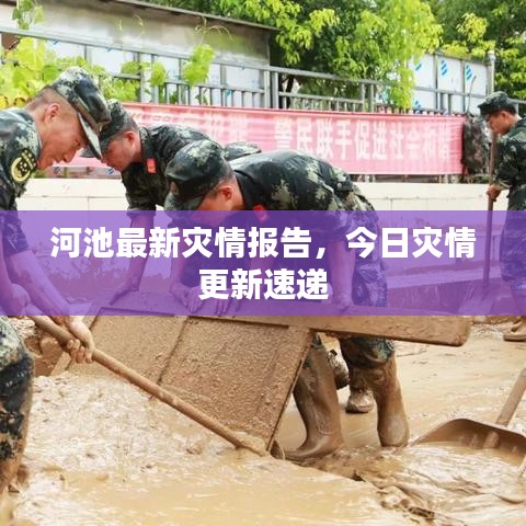 河池最新灾情报告，今日灾情更新速递
