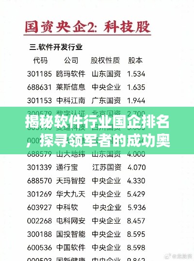 揭秘软件行业国企排名，探寻领军者的成功奥秘