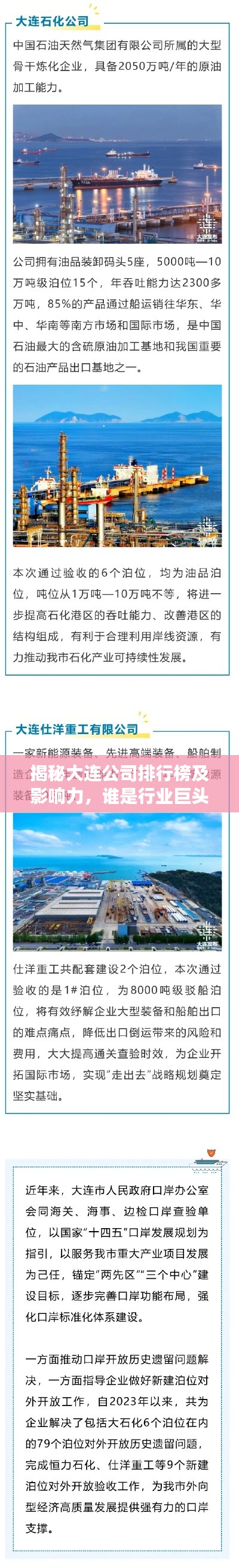 揭秘大连公司排行榜及影响力，谁是行业巨头？