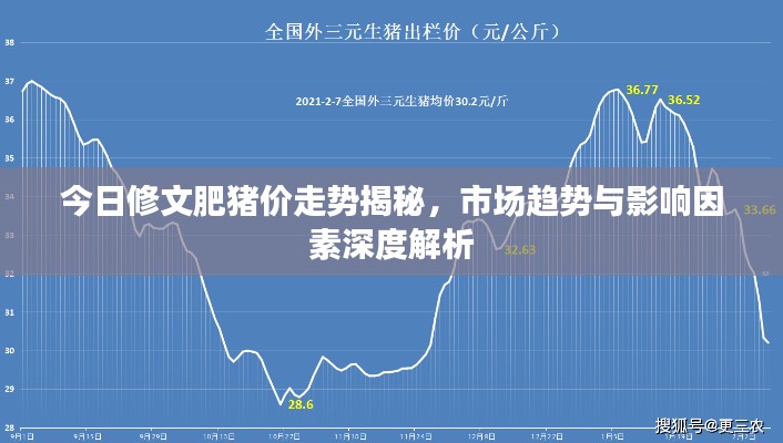 今日修文肥猪价走势揭秘，市场趋势与影响因素深度解析