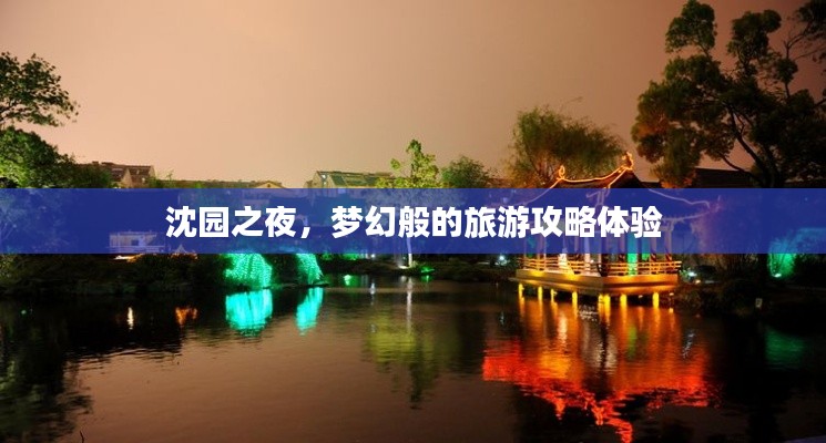 沈园之夜，梦幻般的旅游攻略体验