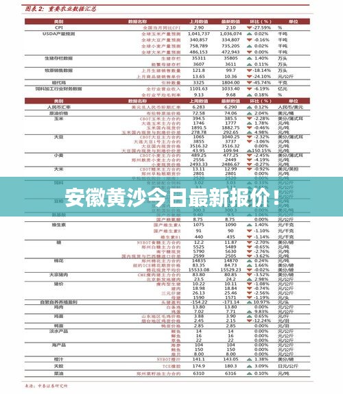 不飞则已