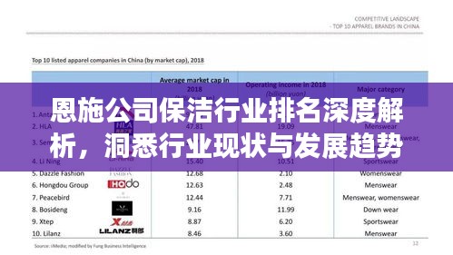 恩施公司保洁行业排名深度解析，洞悉行业现状与发展趋势