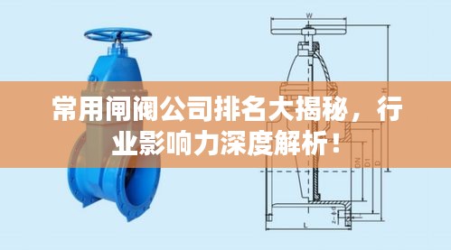 常用闸阀公司排名大揭秘，行业影响力深度解析！