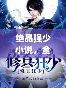 绝品强少小说，全集txt下载与深度解析揭秘