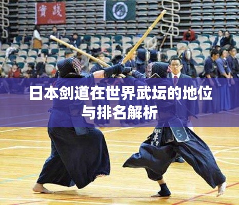 日本剑道在世界武坛的地位与排名解析
