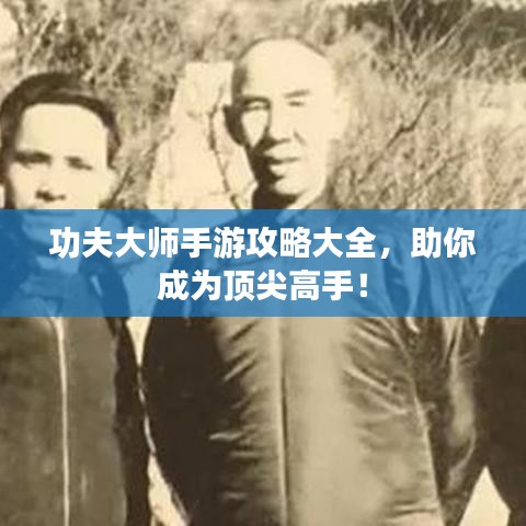 功夫大师手游攻略大全，助你成为顶尖高手！