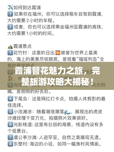 霞浦簪花魅力之旅，完整旅游攻略大揭秘！