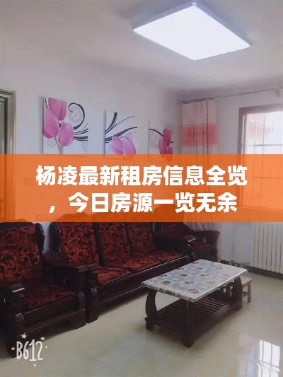 杨凌最新租房信息全览，今日房源一览无余