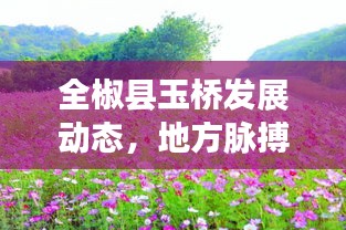 全椒县玉桥发展动态，地方脉搏与活力展现最新头条新闻