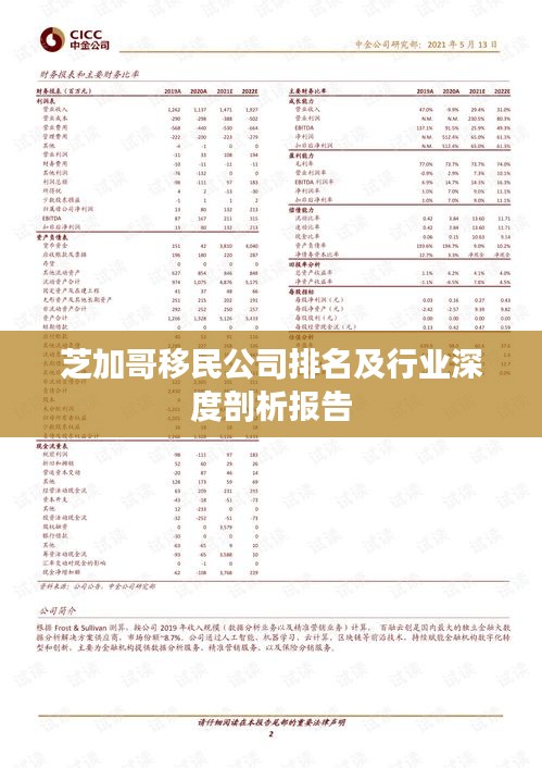 芝加哥移民公司排名及行业深度剖析报告