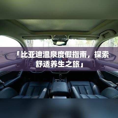 开张圣听
