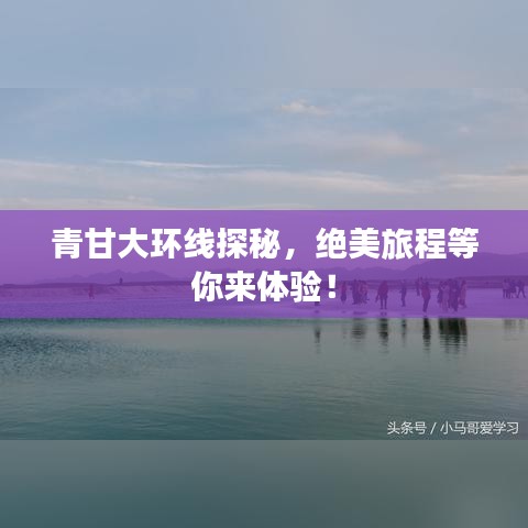 客户案例 第21页