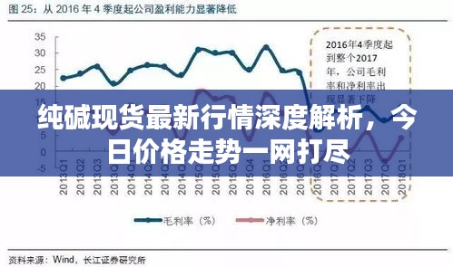 纯碱现货最新行情深度解析，今日价格走势一网打尽