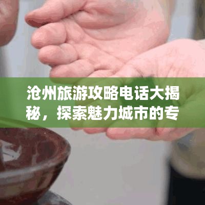 沧州旅游攻略电话大揭秘，探索魅力城市的专属旅行指南