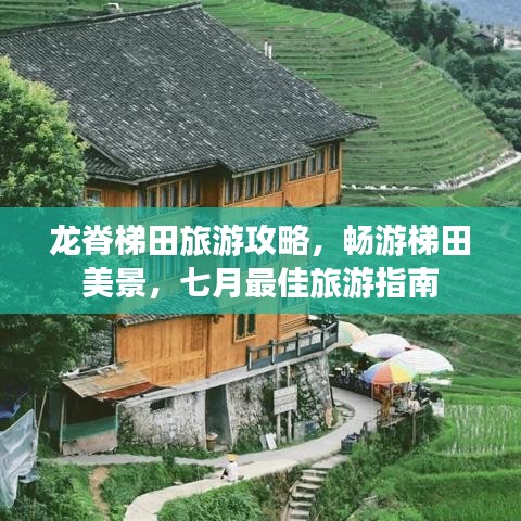 龙脊梯田旅游攻略，畅游梯田美景，七月最佳旅游指南