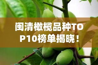 闽清橄榄品种TOP10榜单揭晓！