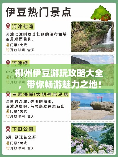 柳州伊豆游玩攻略大全，带你畅游魅力之地！