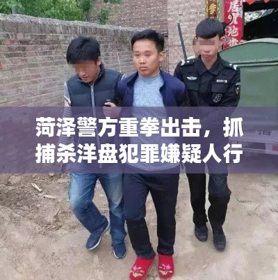 菏泽警方重拳出击，抓捕杀洋盘犯罪嫌疑人行动揭秘