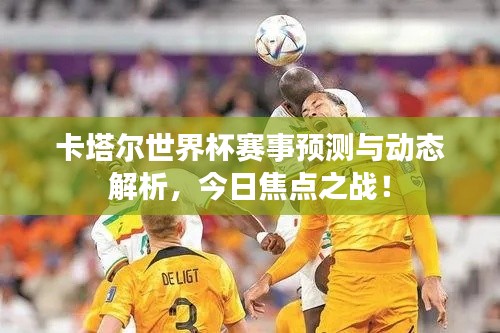卡塔尔世界杯赛事预测与动态解析，今日焦点之战！