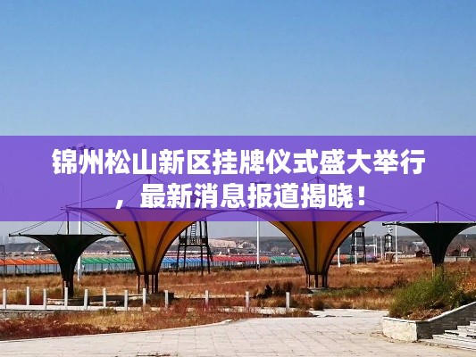 锦州松山新区挂牌仪式盛大举行，最新消息报道揭晓！